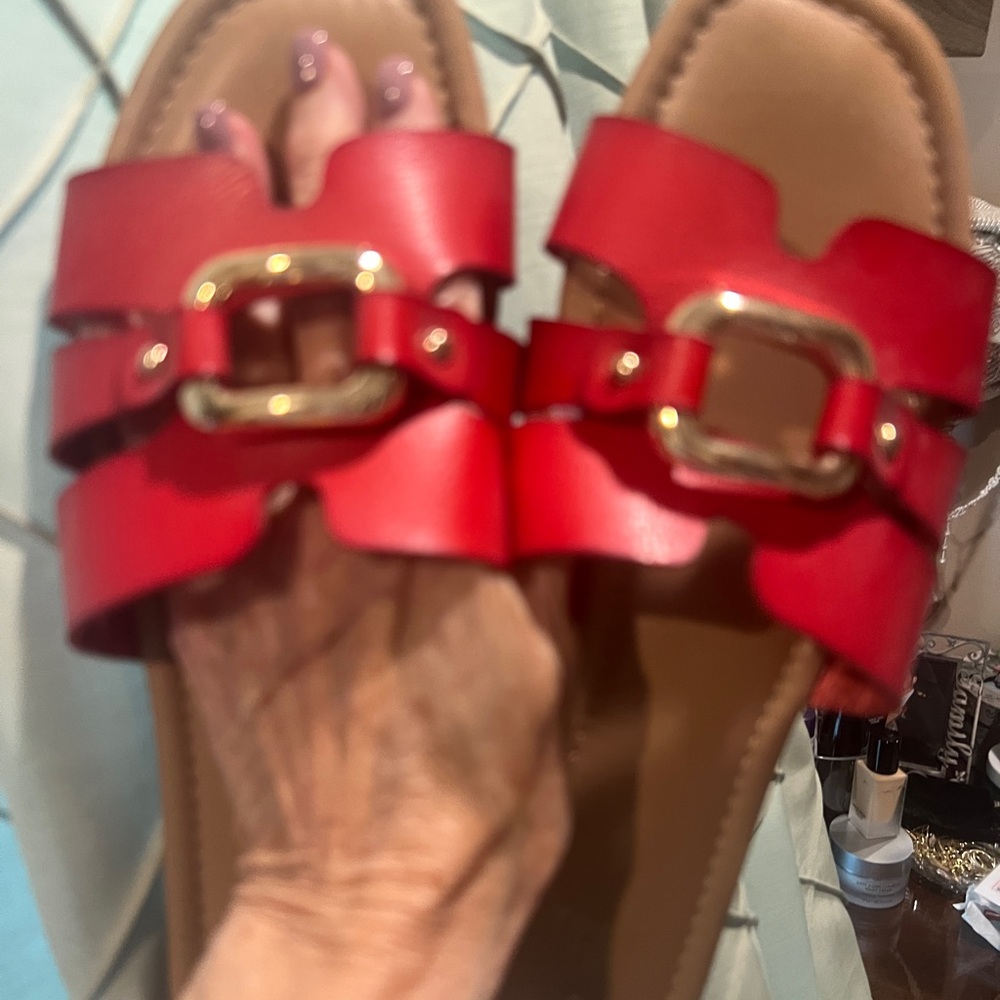 The Row Red Sandals with Gold Buckles NWOT